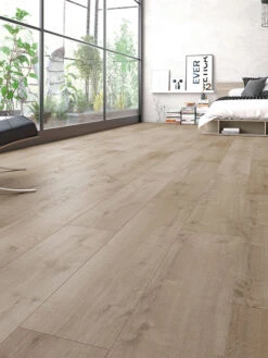 Klick-Laminat, Pale Brown Oak 62272