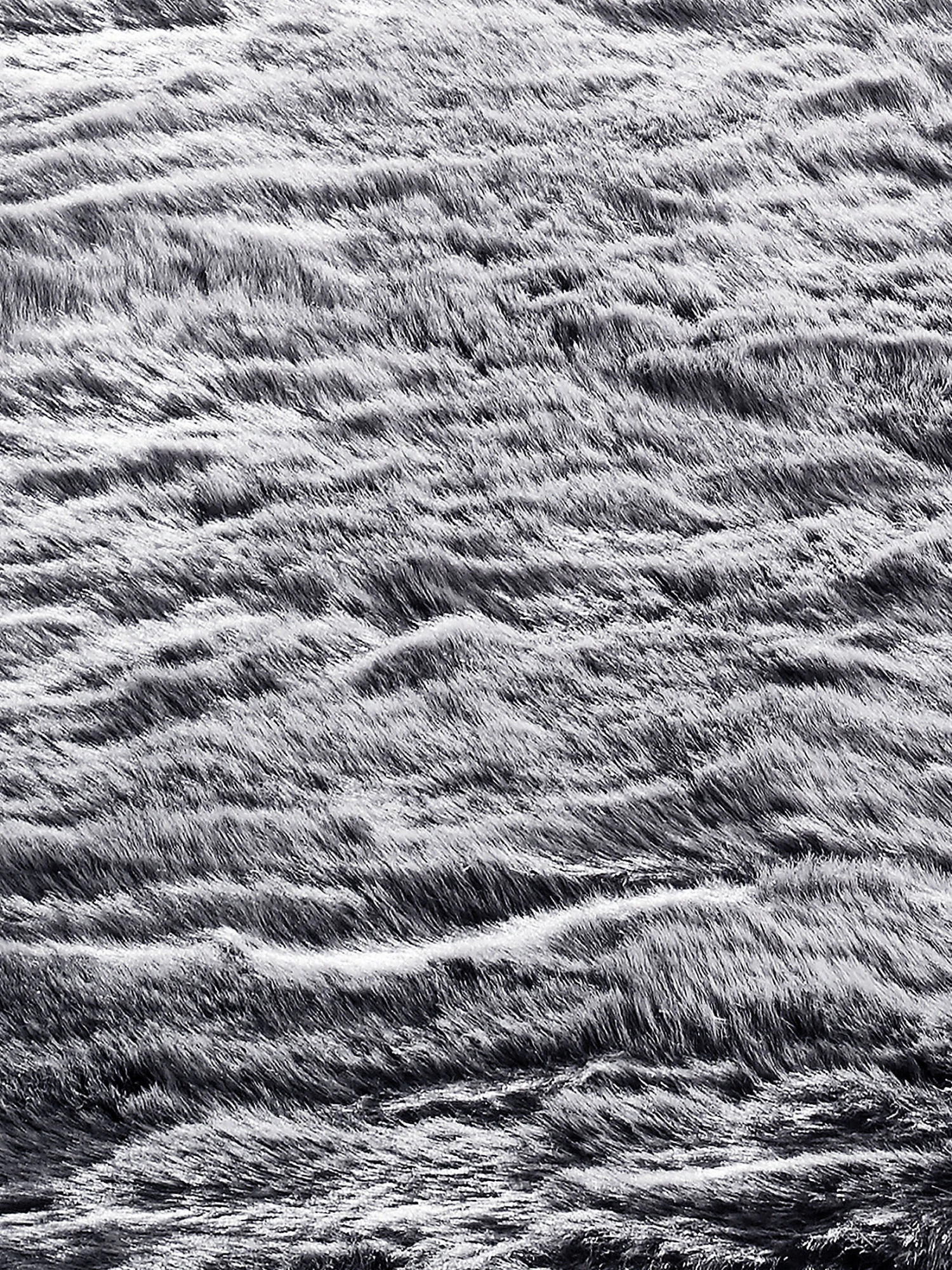 Kunstfell-Teppich, Steingrau 5 Kunstfell-Teppich, Steingrau – Bild 3