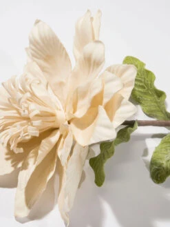 Kunstblume, Hellbeige -Sweet Beteppiche Geschaft Softflower Kunstblume Creme Hellbeige 10x112 lup