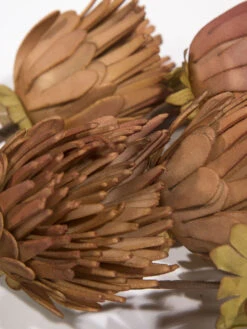 Kunstblume, Orange 9 Kunstblume, Orange -Sweet Beteppiche Geschaft Softflower Kunstblume Terra Orange 103 lup