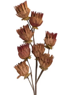 Kunstblume, Orange 8 Kunstblume, Orange -Sweet Beteppiche Geschaft Softflower Kunstblume Terra Orange 103 pla2