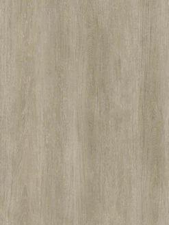 Vinylboden, Mountain Oak Greige 009 -Sweet Beteppiche Geschaft Strong55DryBack VinylPlanke MountainOakGreige009 lup